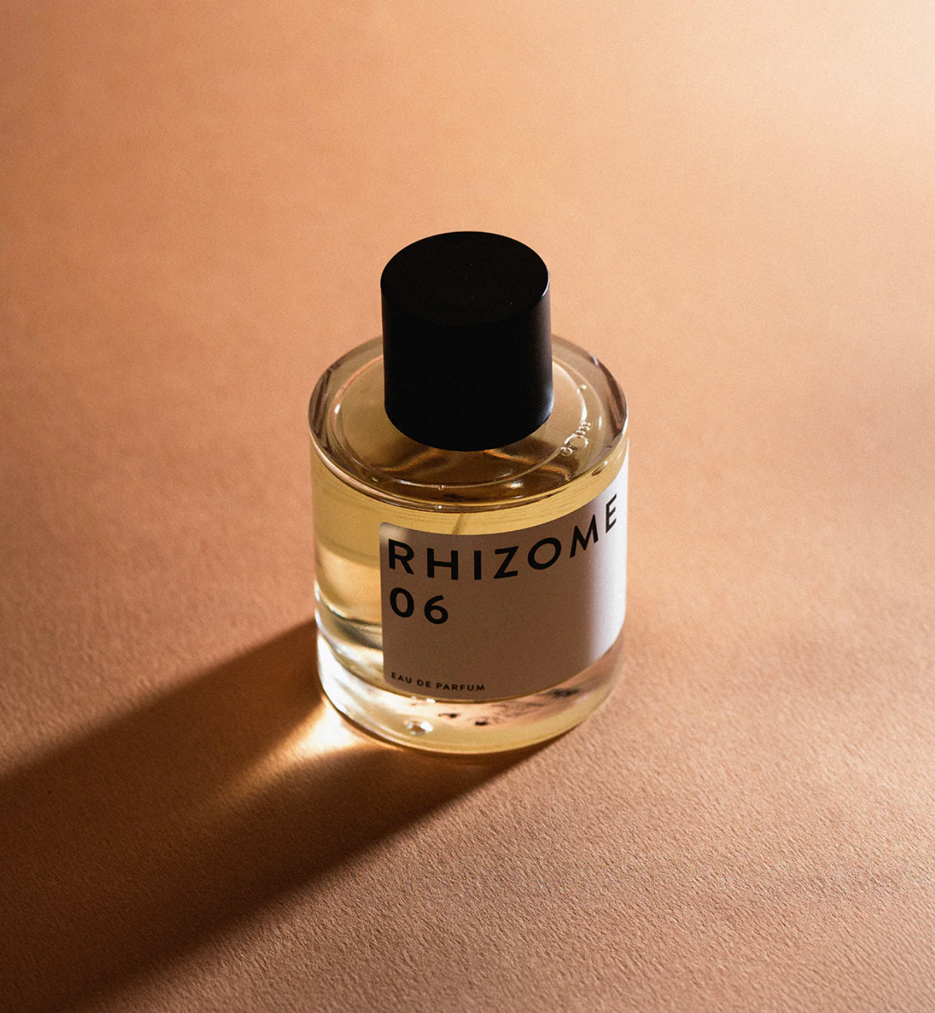 RHIZOME 06 EAU DE PARFUM - 100 ml